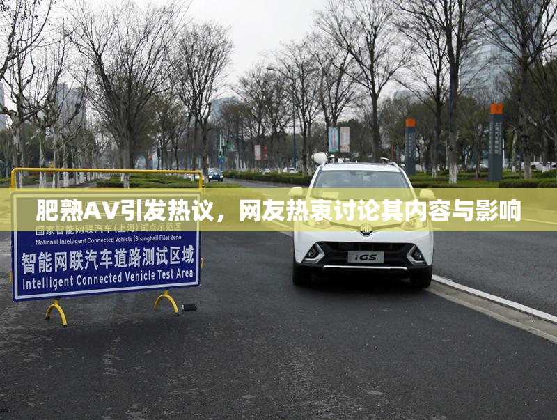 肥熟AV引发热议，网友热衷讨论其内容与影响