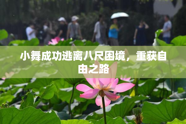 小舞成功逃离八尺困境，重获自由之路
