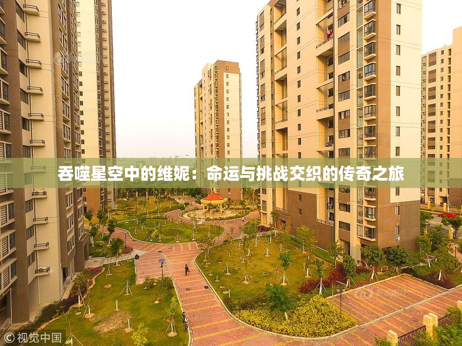 吞噬星空中的维妮：命运与挑战交织的传奇之旅