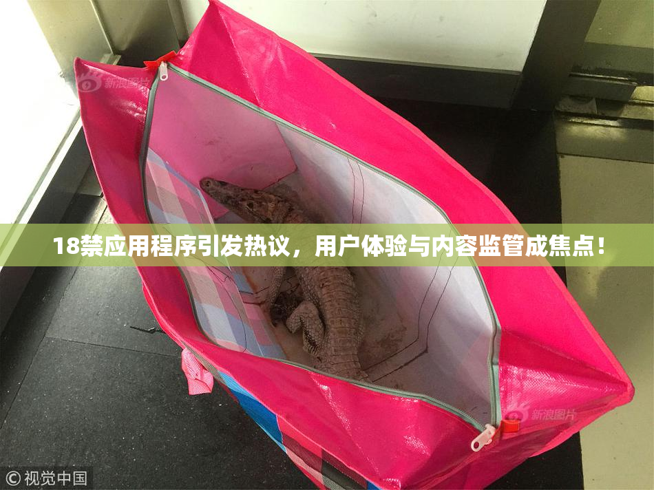18禁应用程序引发热议，用户体验与内容监管成焦点！