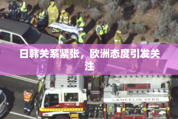 日韩关系紧张，欧洲态度引发关注