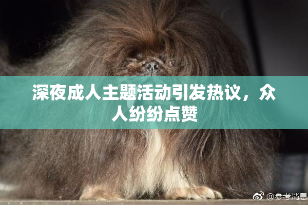 深夜成人主题活动引发热议，众人纷纷点赞