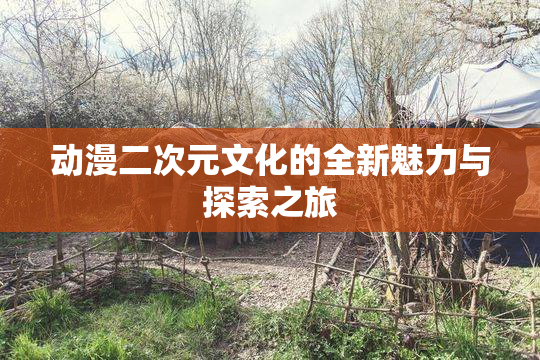 动漫二次元文化的全新魅力与探索之旅