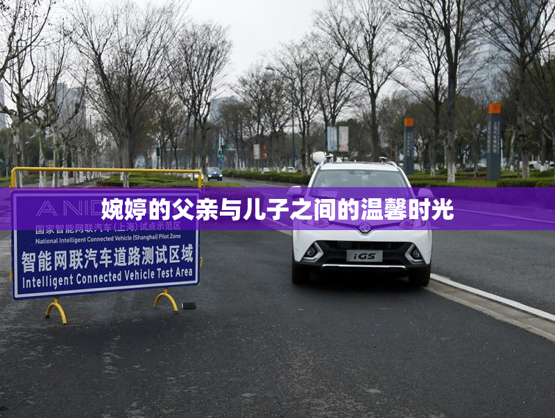 婉婷的父亲与儿子之间的温馨时光