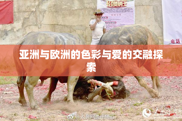 亚洲与欧洲的色彩与爱的交融探索