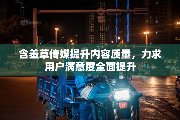 含羞草传媒提升内容质量，力求用户满意度全面提升
