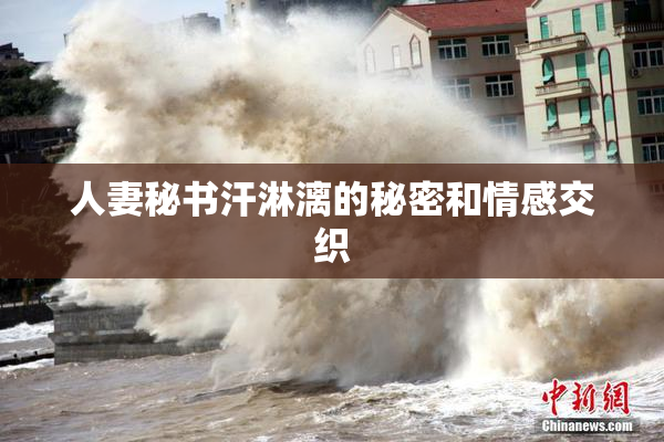 人妻秘书汗淋漓的秘密和情感交织