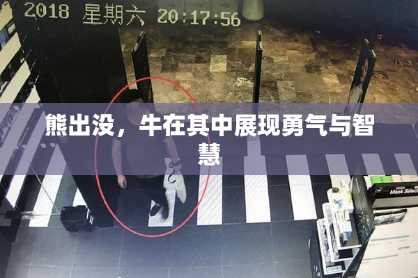 熊出没，牛在其中展现勇气与智慧