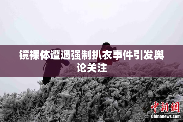 镜裸体遭遇强制扒衣事件引发舆论关注
