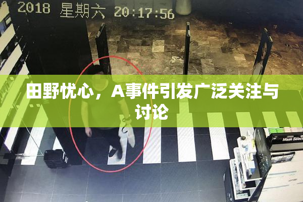 田野忧心，A事件引发广泛关注与讨论