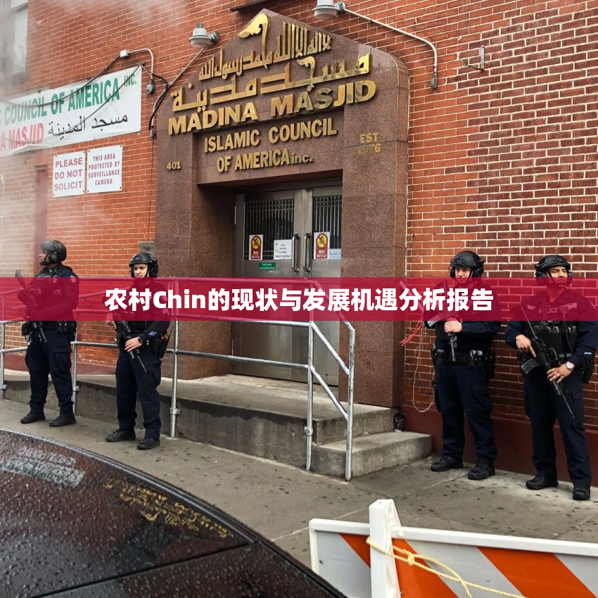 农村Chin的现状与发展机遇分析报告