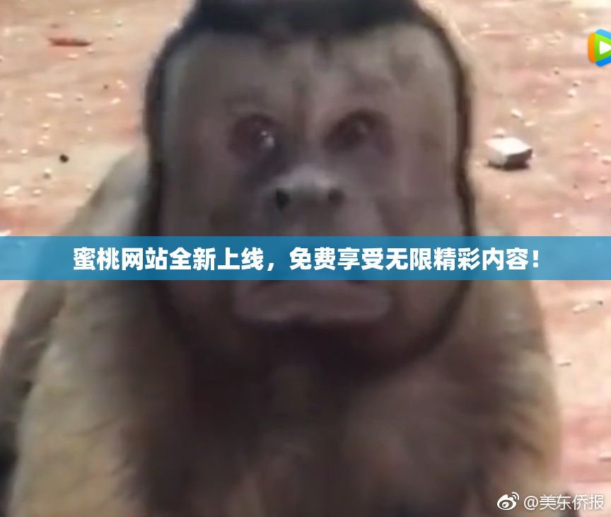 蜜桃网站全新上线，免费享受无限精彩内容！