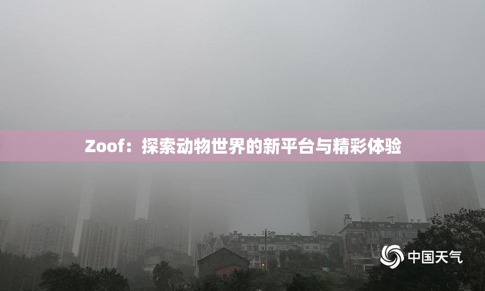 Zoof：探索动物世界的新平台与精彩体验