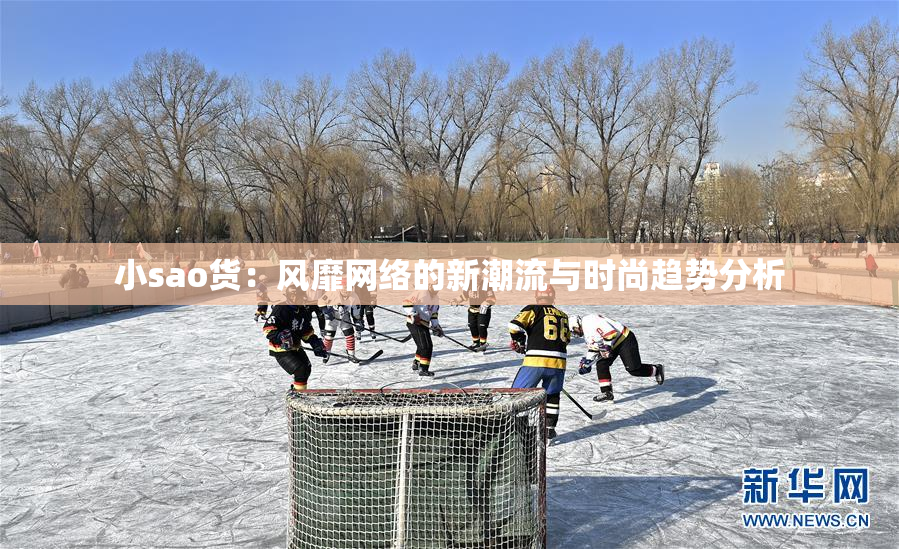 小sao货：风靡网络的新潮流与时尚趋势分析