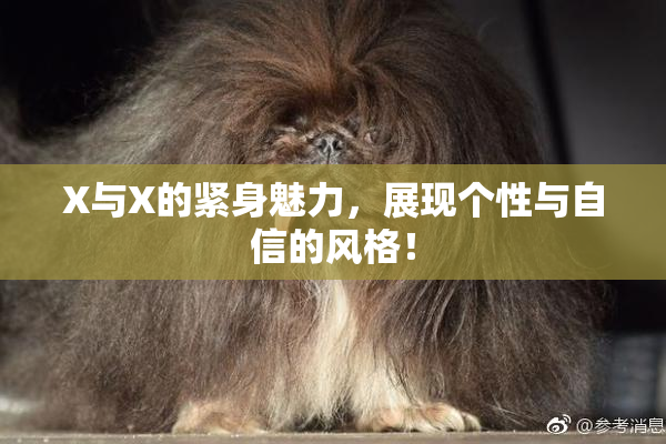 X与X的紧身魅力，展现个性与自信的风格！