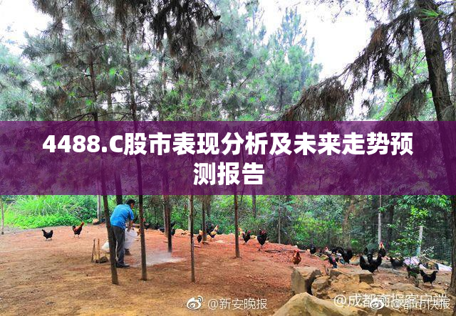 4488.C股市表现分析及未来走势预测报告
