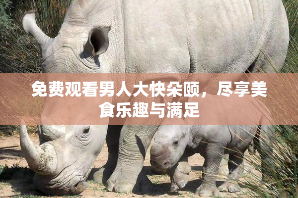 免费观看男人大快朵颐，尽享美食乐趣与满足