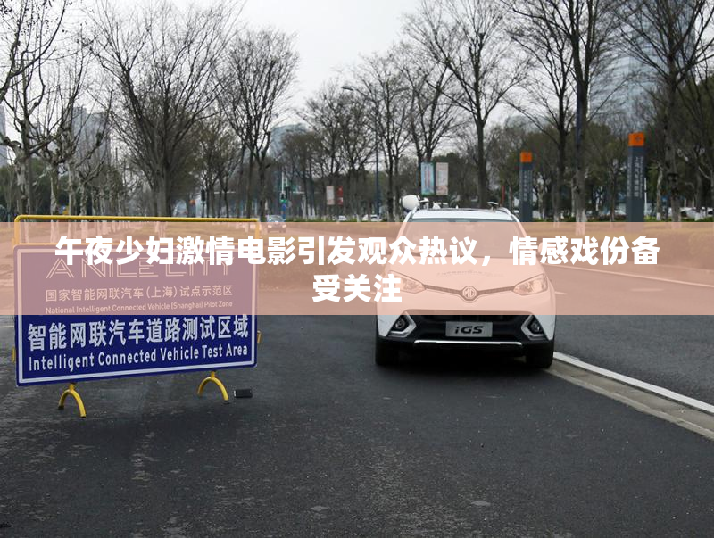 午夜少妇激情电影引发观众热议，情感戏份备受关注