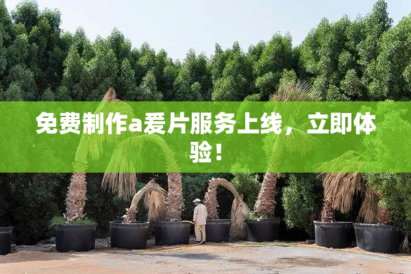 免费制作a爰片服务上线，立即体验！