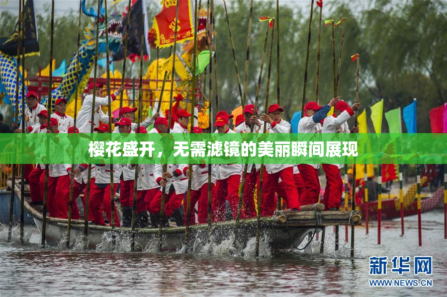 樱花盛开，无需滤镜的美丽瞬间展现