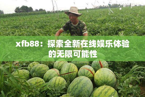xfb88：探索全新在线娱乐体验的无限可能性