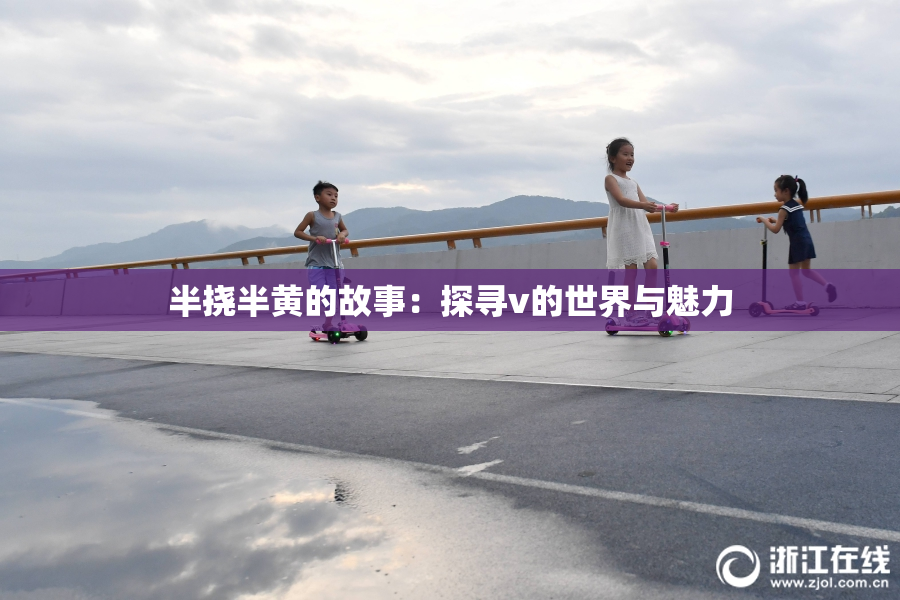 半挠半黄的故事：探寻v的世界与魅力