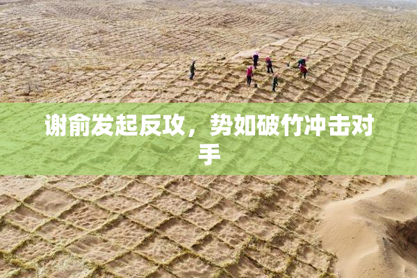 谢俞发起反攻，势如破竹冲击对手