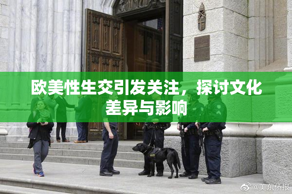 欧美性生交引发关注，探讨文化差异与影响