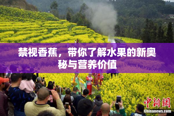 禁视香蕉，带你了解水果的新奥秘与营养价值