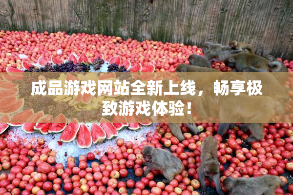 成品游戏网站全新上线，畅享极致游戏体验！