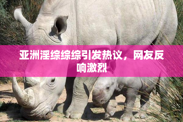 亚洲淫综综综引发热议，网友反响激烈