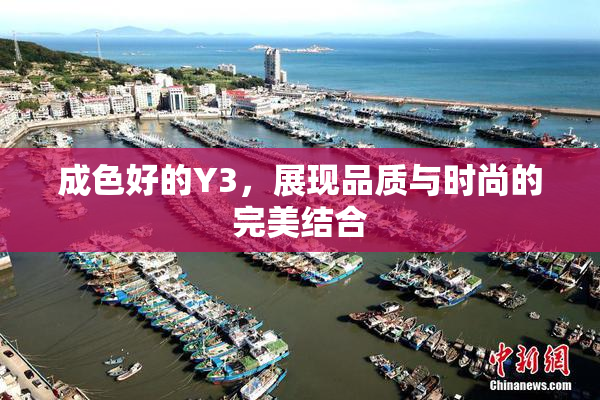成色好的Y3，展现品质与时尚的完美结合