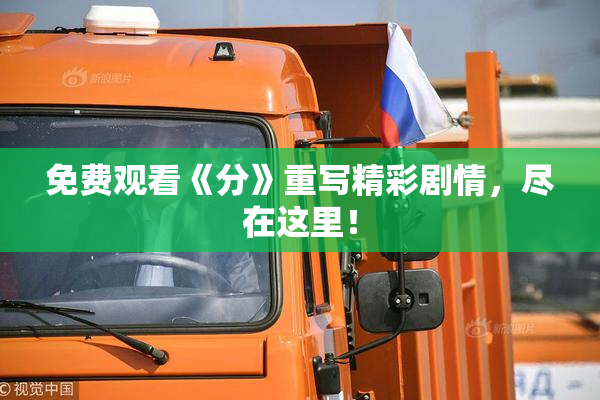 免费观看《分》重写精彩剧情，尽在这里！