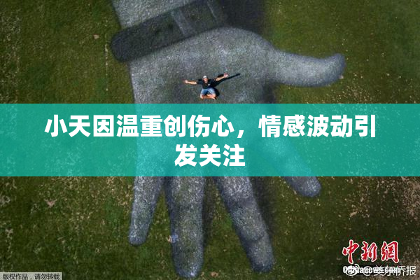 小天因温重创伤心，情感波动引发关注