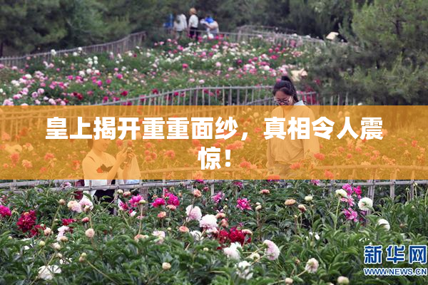 皇上揭开重重面纱，真相令人震惊！