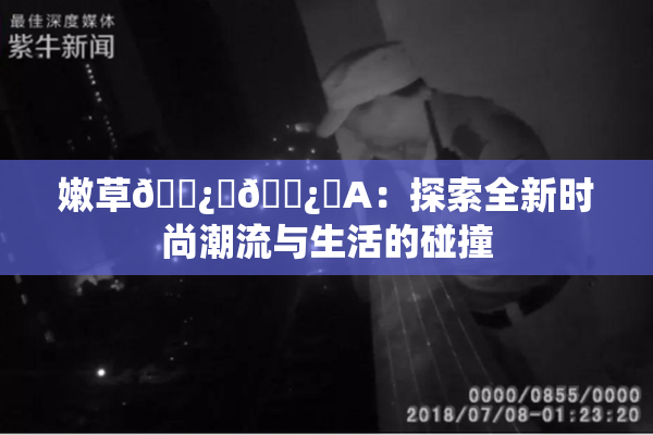 嫩草🌿‌🌿‌A：探索全新时尚潮流与生活的碰撞