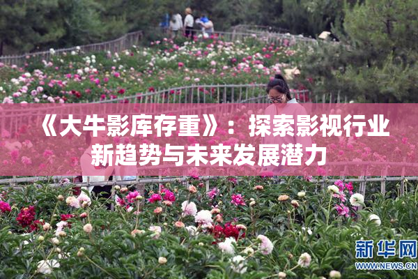 《大牛影库存重》：探索影视行业新趋势与未来发展潜力