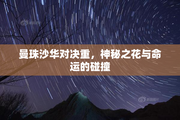 曼珠沙华对决重，神秘之花与命运的碰撞