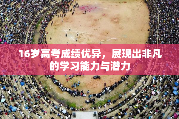 16岁高考成绩优异，展现出非凡的学习能力与潜力