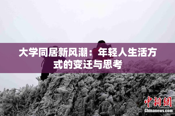 大学同居新风潮：年轻人生活方式的变迁与思考