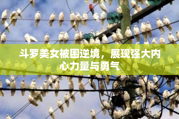 斗罗美女被困逆境，展现强大内心力量与勇气