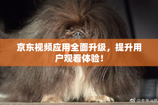 京东视频应用全面升级，提升用户观看体验！