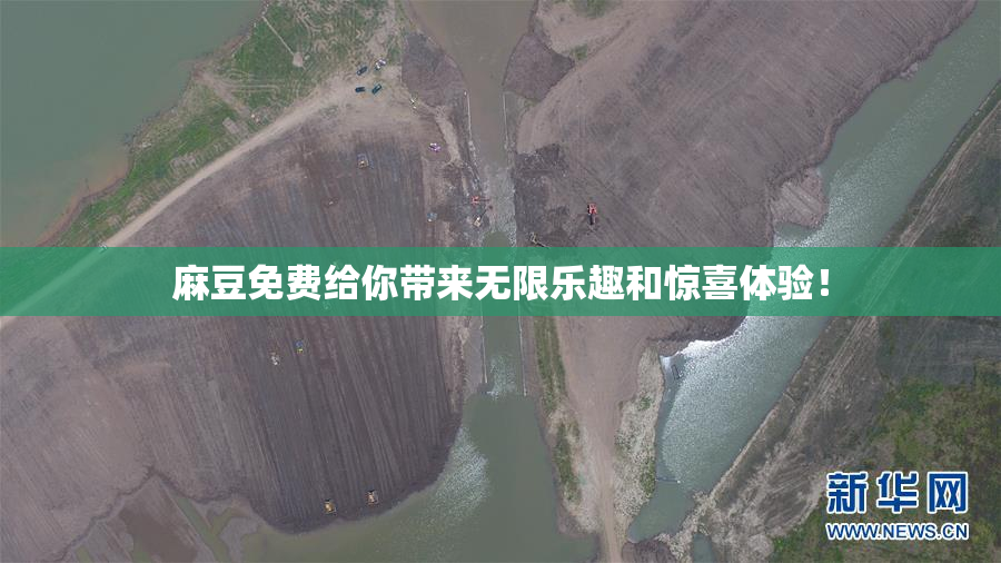 麻豆免费给你带来无限乐趣和惊喜体验！
