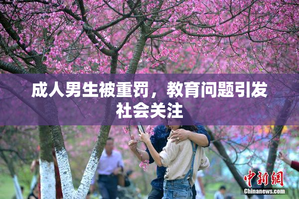 成人男生被重罚，教育问题引发社会关注