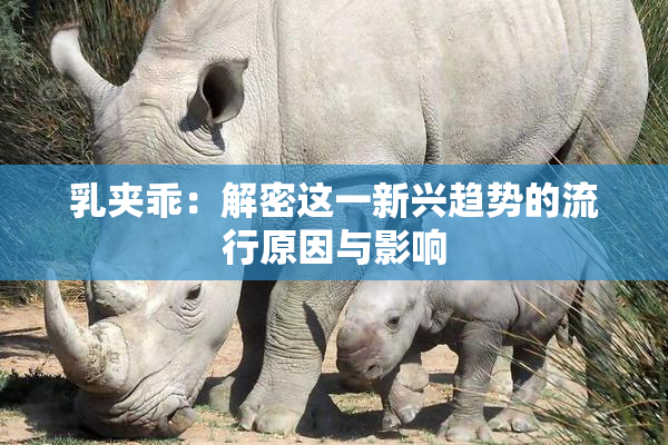 乳夹乖：解密这一新兴趋势的流行原因与影响