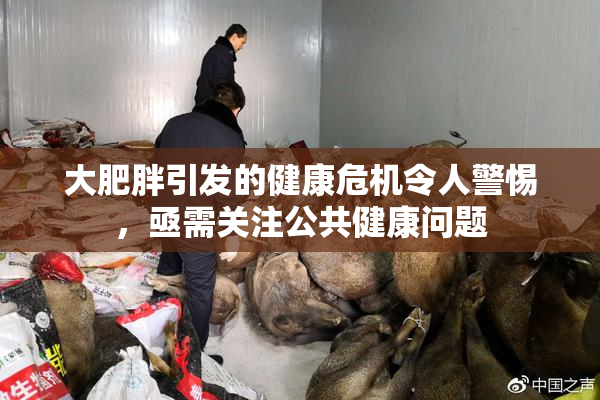 大肥胖引发的健康危机令人警惕，亟需关注公共健康问题