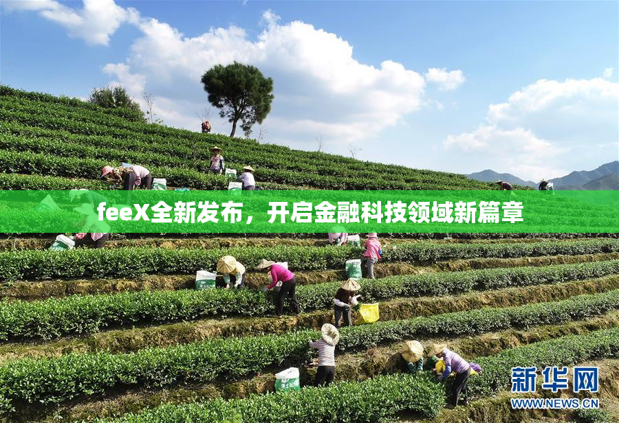 feeX全新发布，开启金融科技领域新篇章