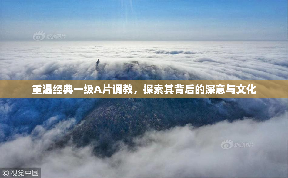 重温经典一级A片调教，探索其背后的深意与文化