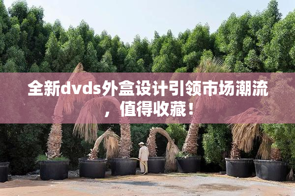全新dvds外盒设计引领市场潮流，值得收藏！