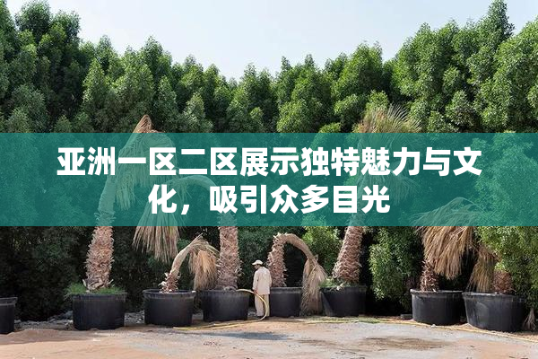 亚洲一区二区展示独特魅力与文化，吸引众多目光